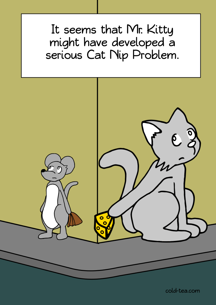 catnip