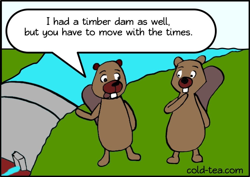 beaver dam
