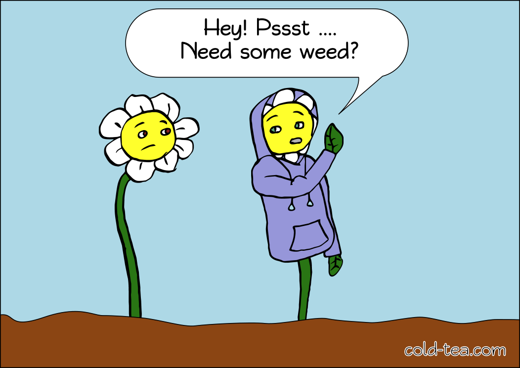 say no to weed