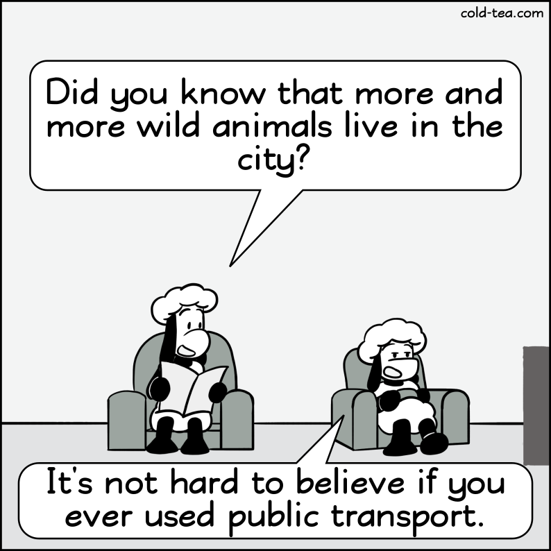 statistics