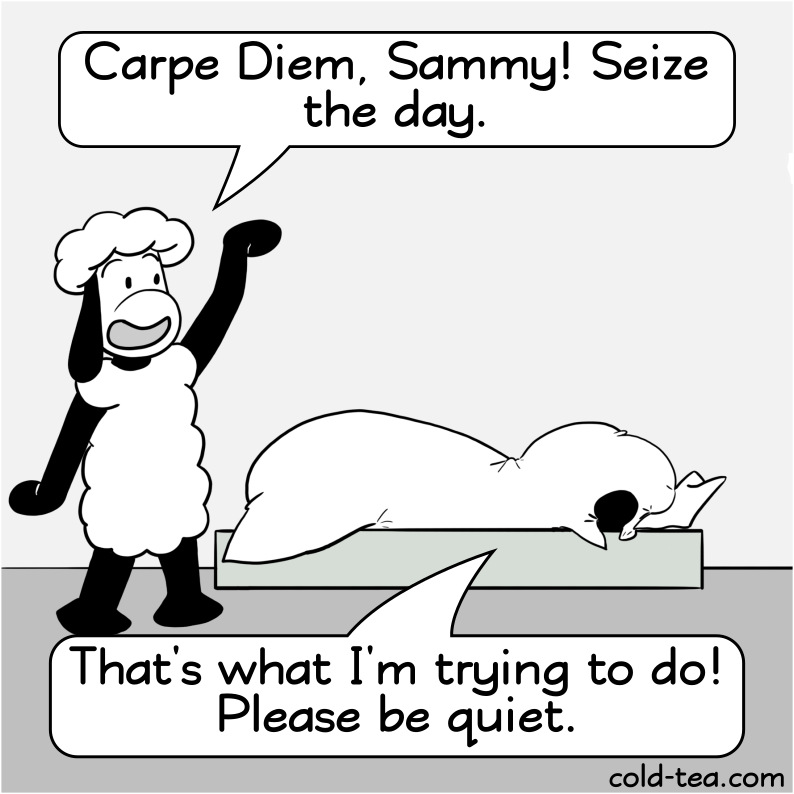 Carpe Lectum